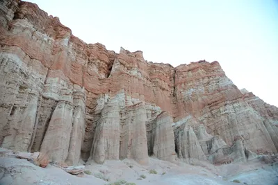 DSC_0269 (Large).JPG